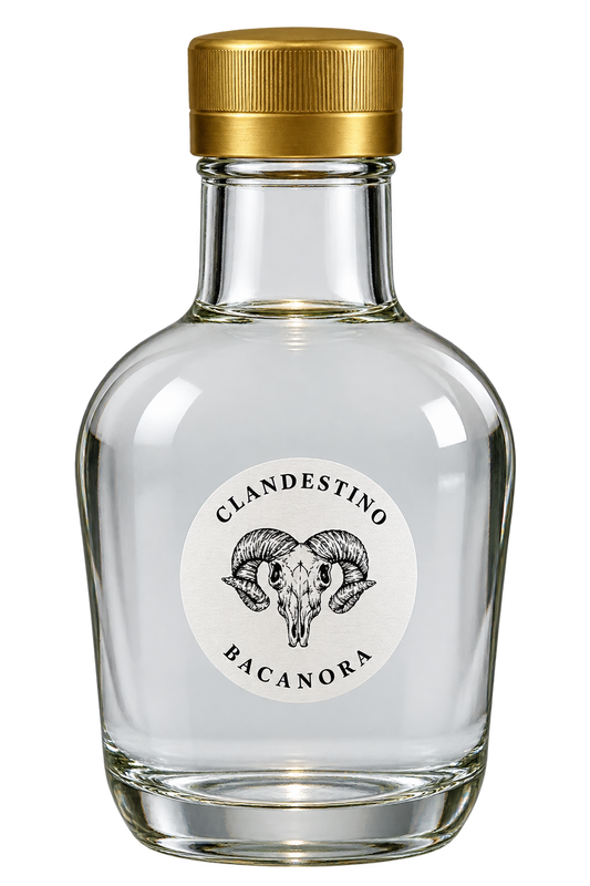 clandestino-bacanora-sonora.jpg